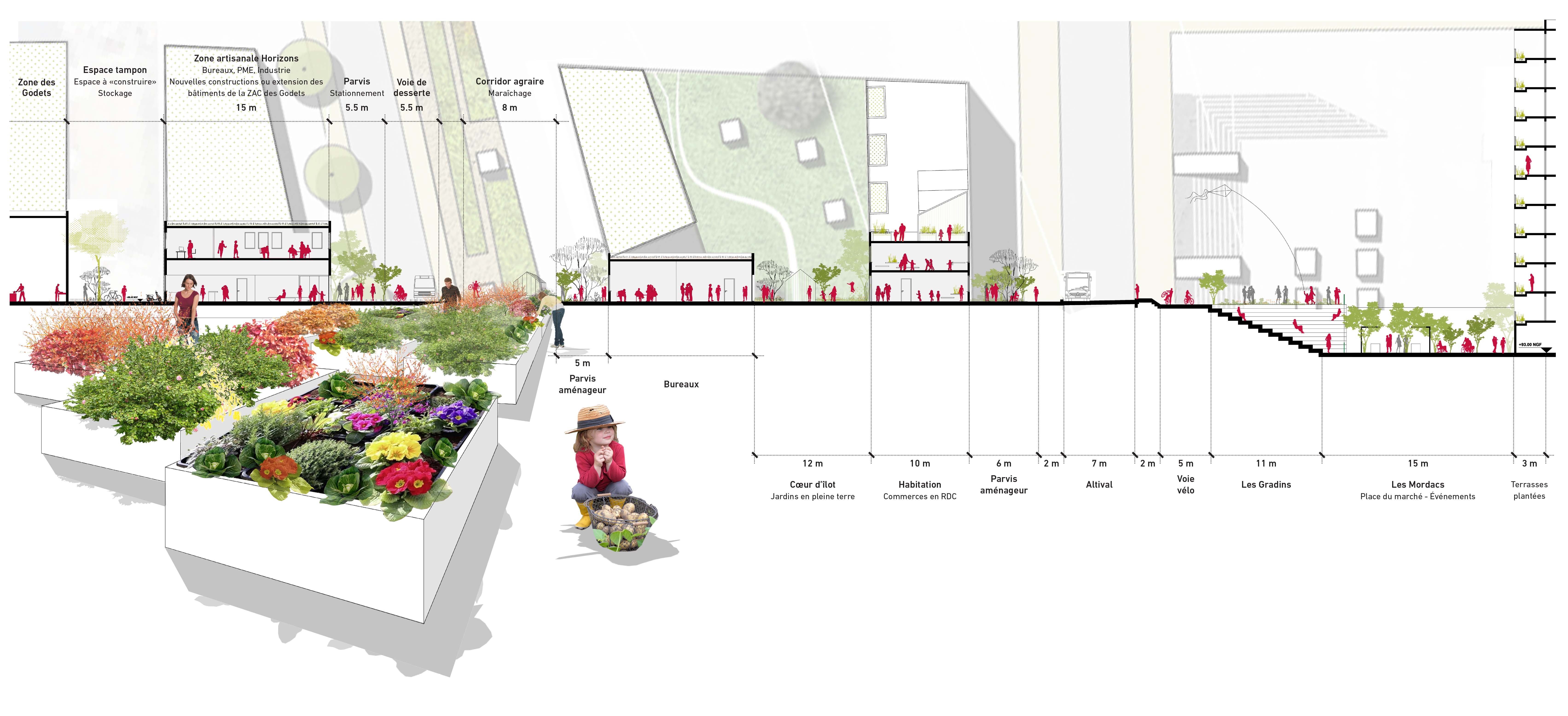 E15_CHAMPIGNY_HORIZON_5
