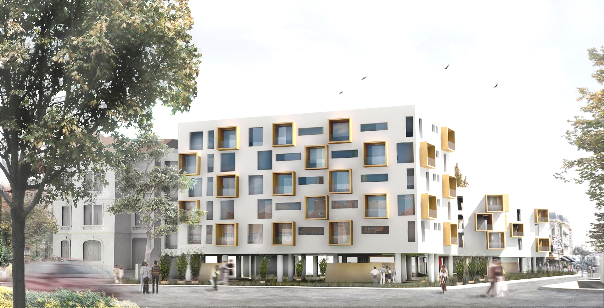 Studio echo Architecture_Faisabilité log collectifs